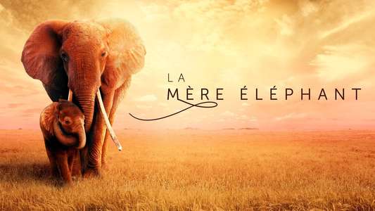 The Elephant Queen - Backdrop