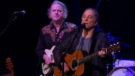 Paul Simon: Live in New York City - Backdrop