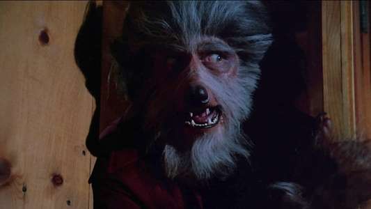 The Boy Who Cried Werewolf - Backdrops
