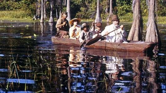 Treasure of Matecumbe - Backdrops