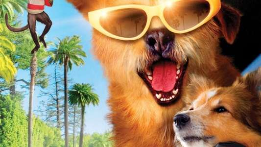 Dr. Dolittle: Million Dollar Mutts - Backdrops
