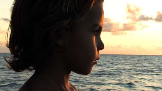 Alamar - Backdrop