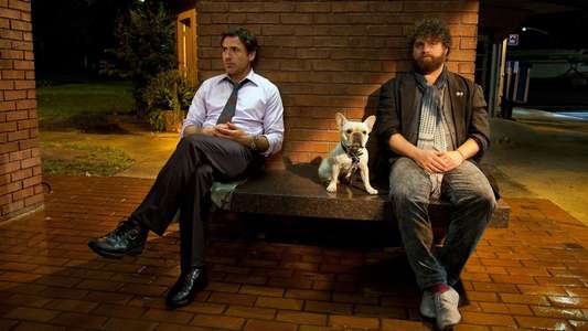 Due Date - Backdrop