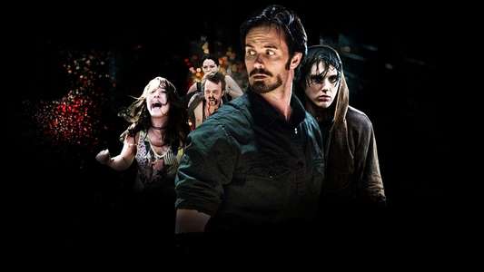 The Last House on the Left - Backdrop