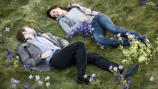 The Twilight Saga: New Moon - Backdrop
