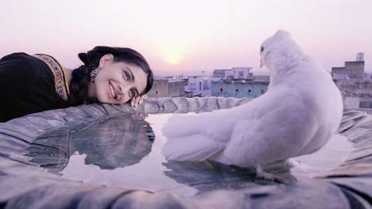 Delhi-6 - Backdrop