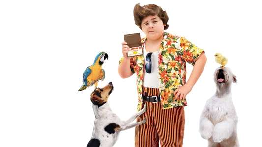 Ace Ventura Jr: Pet Detective - Backdrop