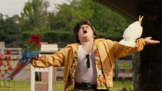Ace Ventura Jr: Pet Detective - Backdrop