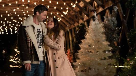 A Snow White Christmas - Backdrop