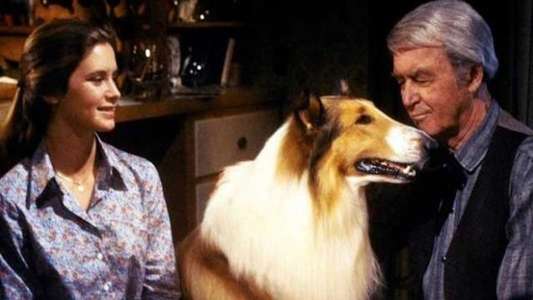 The Magic of Lassie - Backdrops
