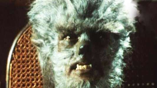 The Werewolf of Washington - Backdrop