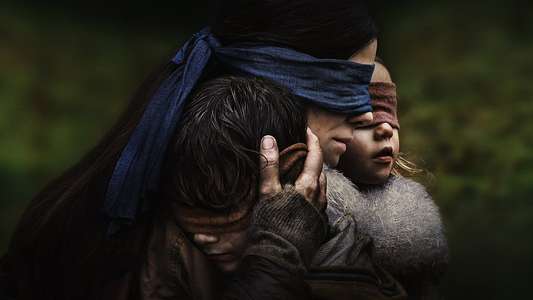 Bird Box - Backdrop
