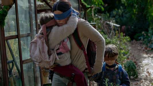 Bird Box - Backdrop