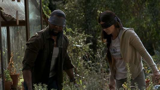 Bird Box - Backdrop