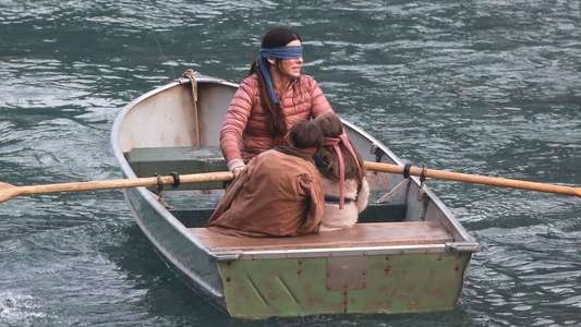 Bird Box - Backdrop