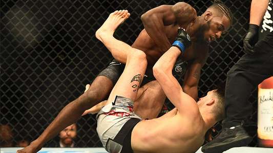 UFC Fight Night  139:  Korean Zombie vs Rodriguez - Backdrop