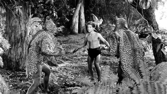 Tarzan and the Leopard Woman - Backdrop