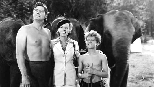Tarzan and the Amazons - Backdrop