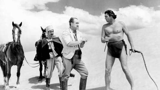 Tarzan's Desert Mystery - Backdrop