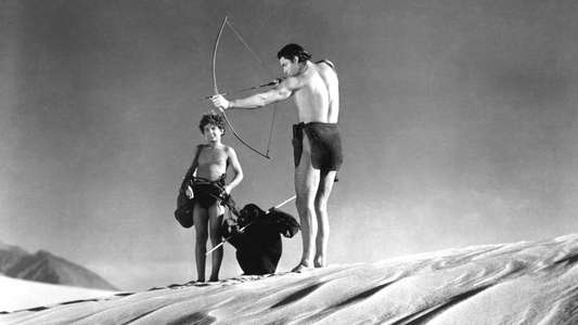 Tarzan's Desert Mystery - Backdrop