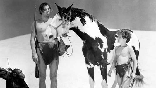 Tarzan's Desert Mystery - Backdrop