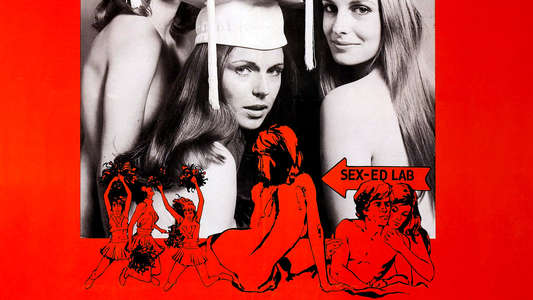 The Student Teachers - Backdrop