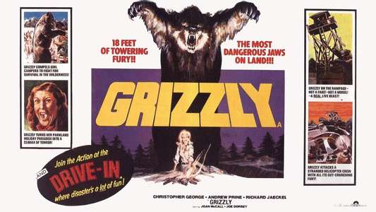 Grizzly - Backdrop
