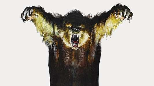 Grizzly - Backdrop