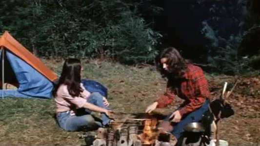 Grizzly - Backdrop
