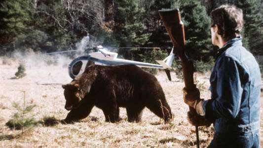 Grizzly - Backdrop