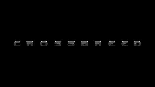 Crossbreed - Backdrop