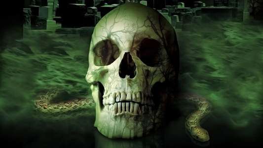 From Beyond the Grave - Backdrop