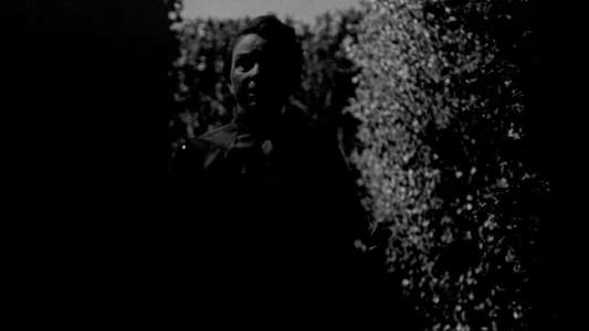 The Maze - Backdrop