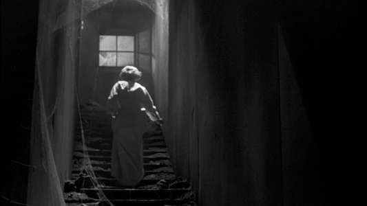 The Maze - Backdrop
