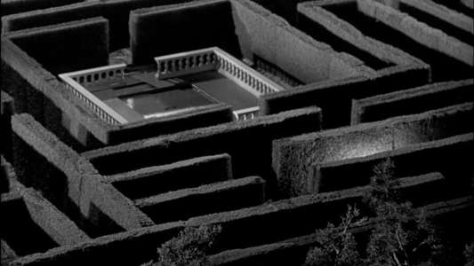 The Maze - Backdrop