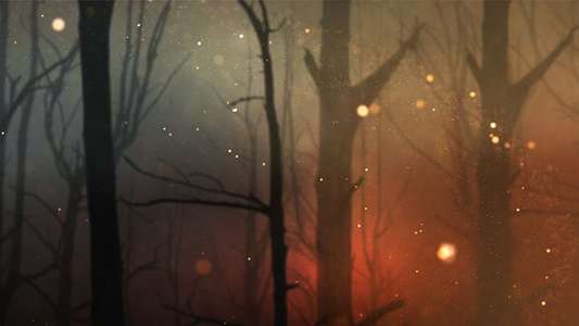 Aftermath: Beyond Black Saturday - Backdrop