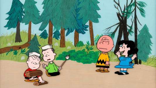 It Was a Short Summer  Charlie Brown - Backdrops