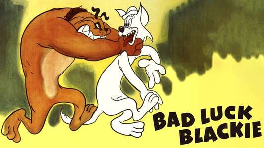 Bad Luck Blackie - Backdrops