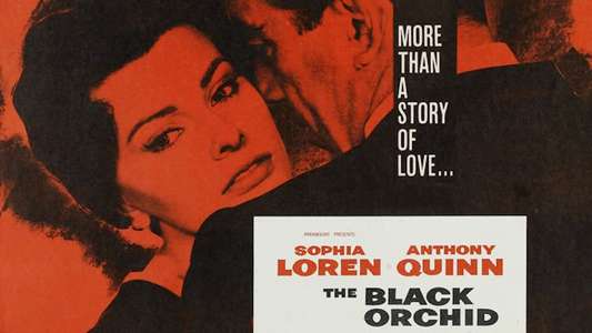 The Black Orchid - Backdrop