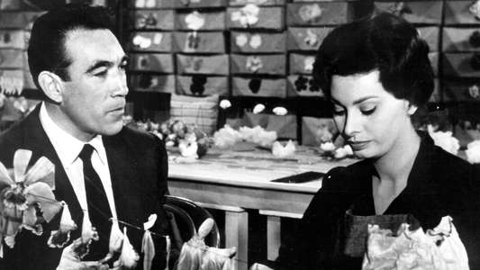 The Black Orchid - Backdrop