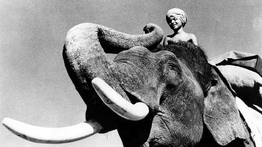 Elephant Boy - Backdrops