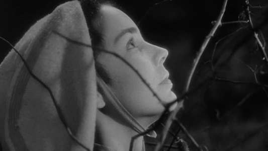 The Song of Bernadette - Backdrop