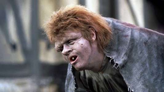 The Hunchback of Notre Dame - Backdrops