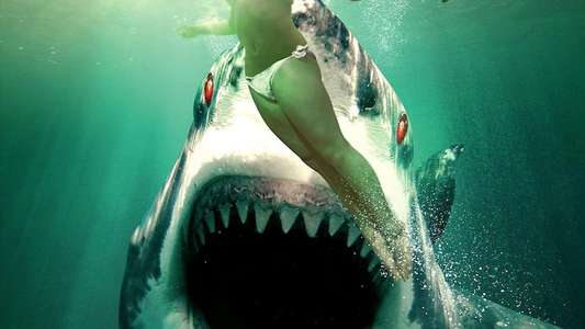 Ghost Shark - Backdrop