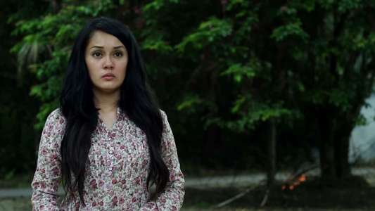 Paku Pontianak - Backdrop