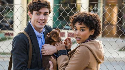 A Dog's Way Home - Backdrop