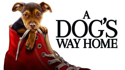 A Dog's Way Home - Backdrop
