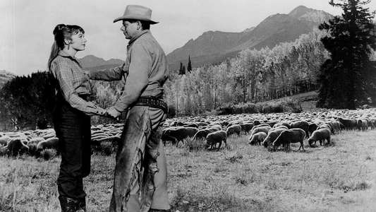 The Sheepman - Backdrop