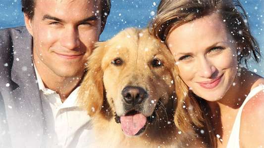 A Golden Christmas 3 - Backdrop