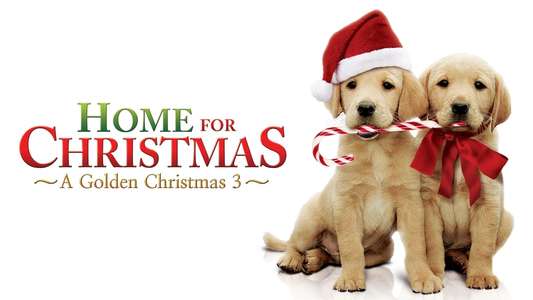 A Golden Christmas 3 - Backdrop